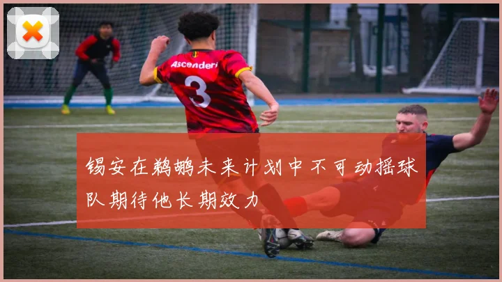 锡安在鹈鹕未来计划中不可动摇球队期待他长期效力