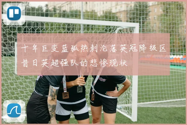 十年巨变蓝狐热刺沦落英冠降级区昔日英超强队的悲惨现状